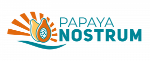 Papaya Nostrum horizontal